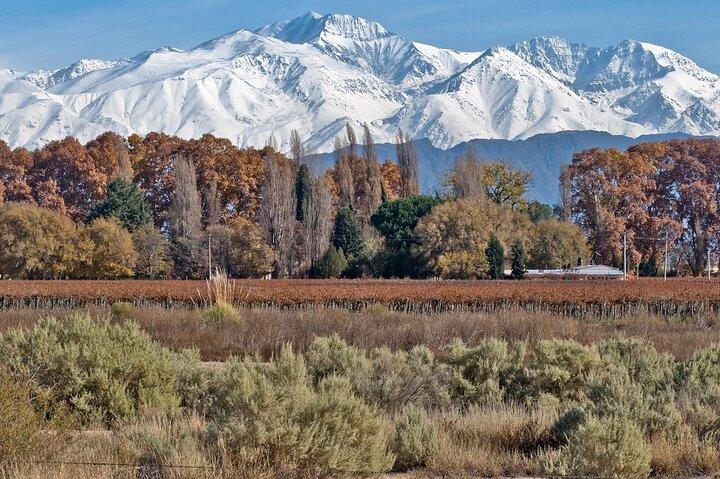 Full Day Private Guided Tour of Vinicolas de Mendoza