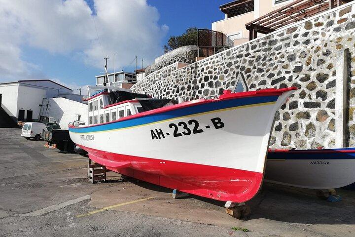 Terceira Island full day tour