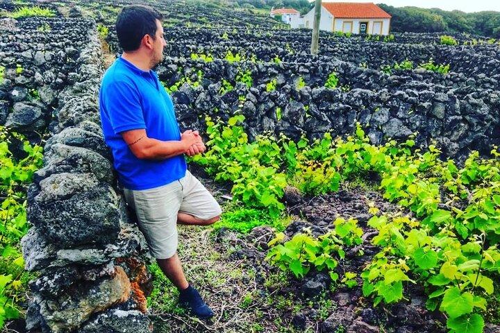 Terceira Island full day tour