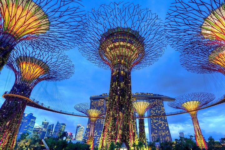 Private Singapore Night Tour with Gardens by the Bay&River Cruise