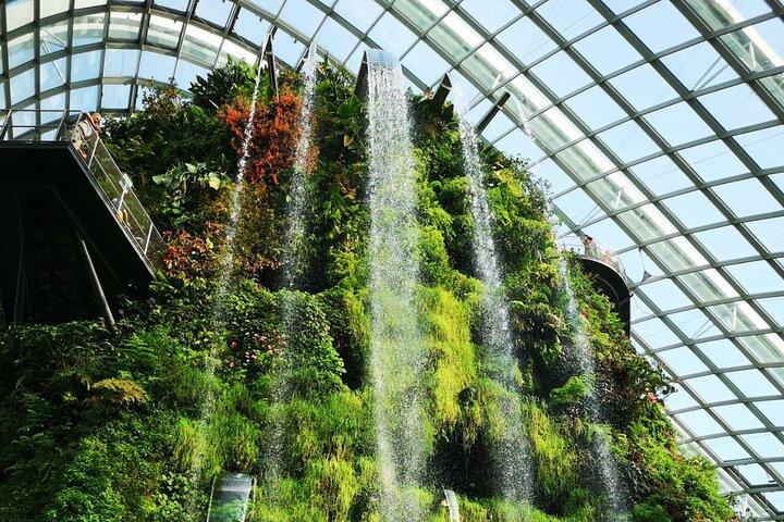 Private Singapore Night Tour with Gardens by the Bay&River Cruise