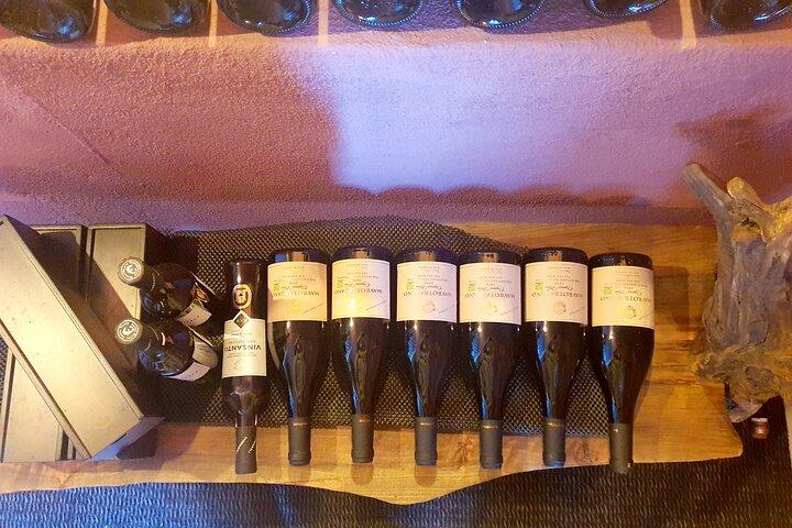 Premium Wine Tasting with Caldera Views