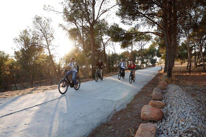 Granada: Alhambra and Sierra Nevada Sunset Views by E-Bike