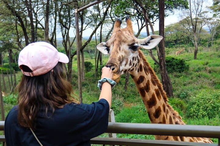 Nairobi National Park, Elephant Orphanage & Giraffe Center tour.