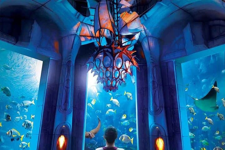 Atlantis Aquaventure, Water Park, Lost Chamber Options