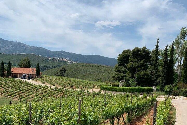 Athens Wine Tour - An Outstanding Full Day Experience For Dedicated Winelovers