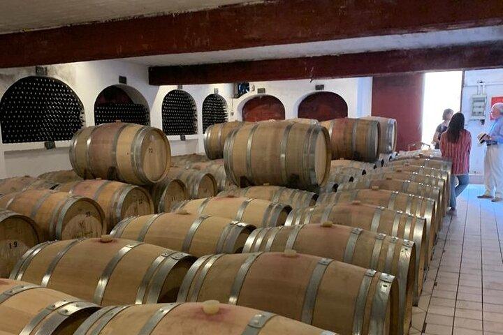 Athens Wine Tour - An Outstanding Full Day Experience For Dedicated Winelovers