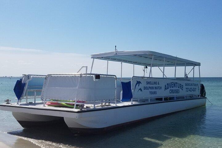 Dolphin /Shelling/Snorkeling tours Private Charters