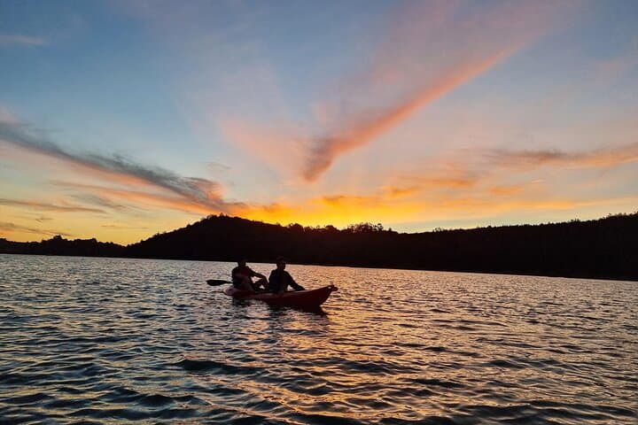 Bioluminescence Kayak Tour - Est. 1994