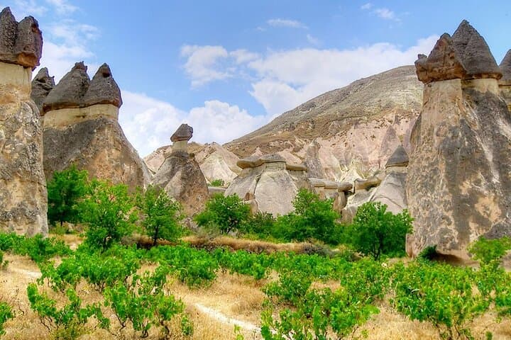 2 Days Cappadocia Trip Including Balloon Ride & Camel Ride
