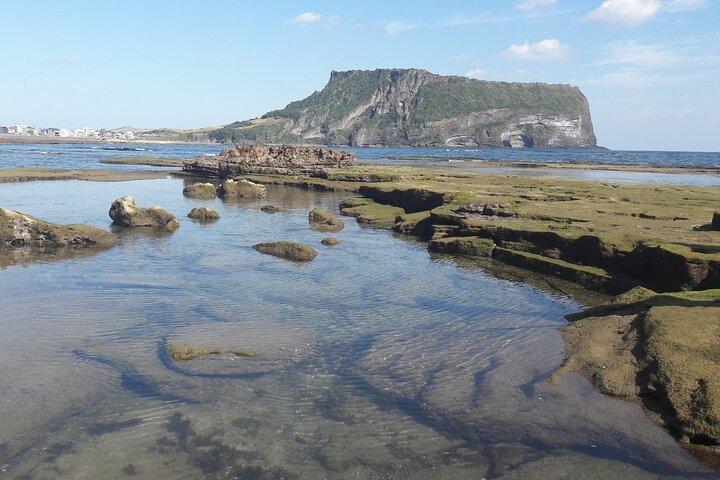 Jeju Private Half-Day Tour - UNESCO SITE Seongsan illchulbong