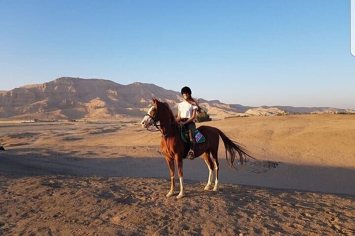 Hot Air Balloon and Horse Riding Experience