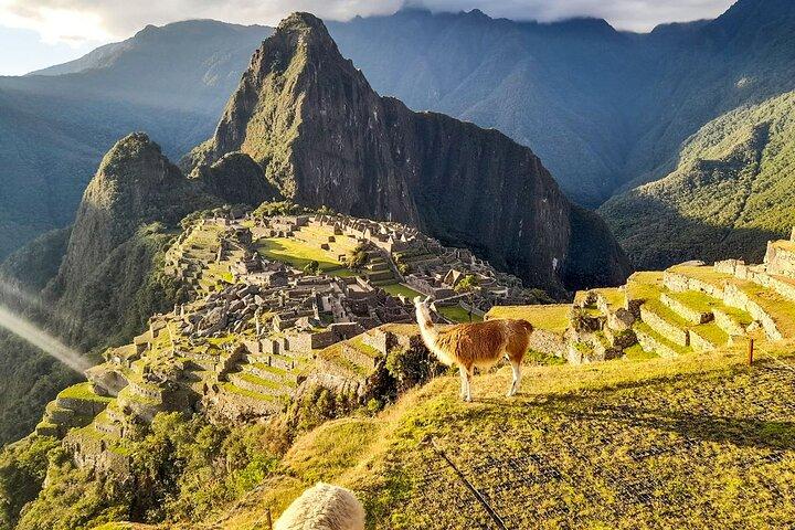 2 Day Tour Throughout the Short Inca Trail to Machu Picchu