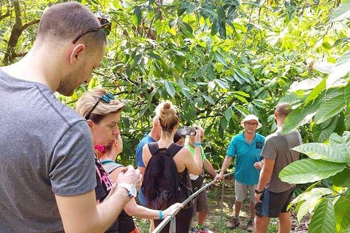 Chocolate and Coffee Tour Farm Don Jorge
