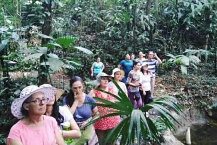 Chocolate and Coffee Tour Farm Don Jorge