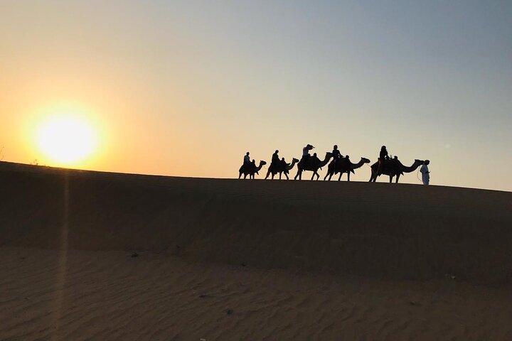 Desert Safari Tour with Camel Ride and BBQ Dinner in VIP Camp