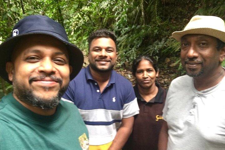 Sinharaja Rain Forest Guided Day Tour