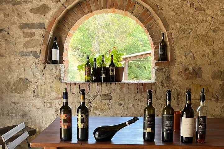 Discover Chianti Classico Wines