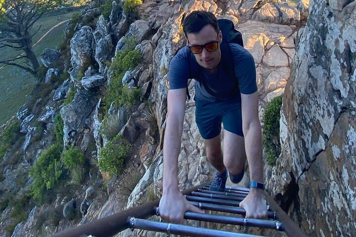 Half-day Lion's Head Hike in Cape Town