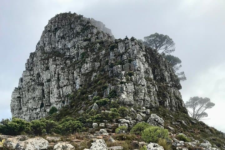Half-day Lion's Head Hike in Cape Town