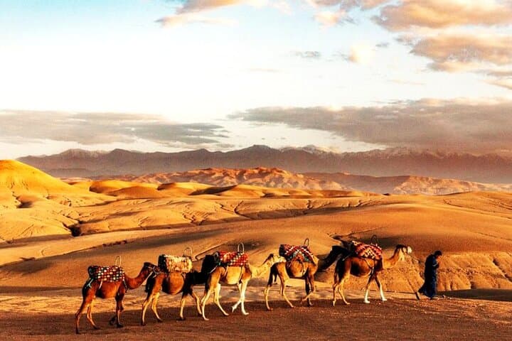 Sunset Dinner show in Marrakech Desert with Quad bike