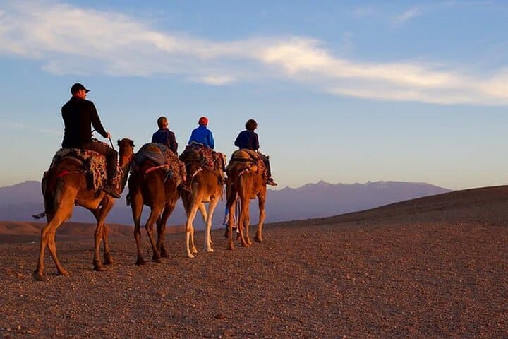 Sunset Dinner show in Marrakech Desert with Quad bike