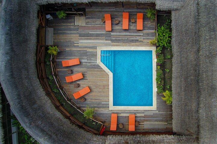 3-Days Iquitos Amazon Jungle Tour at Premium Eco Lodge