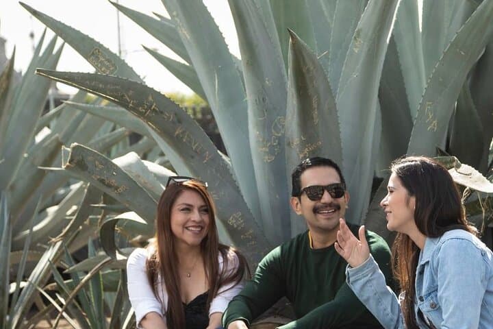 Mexico City Private & Personalized Half-Day Tour with a Local