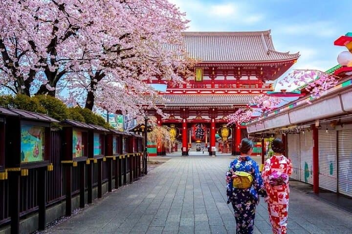 Private Transfer for Custom Day Tour in Tokyo