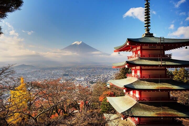 Private Transfer for Custom Day Tour in Tokyo