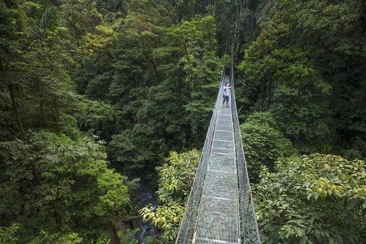 Private Tour Mistico Park Arenal Volcano + Baldi Hot Springs