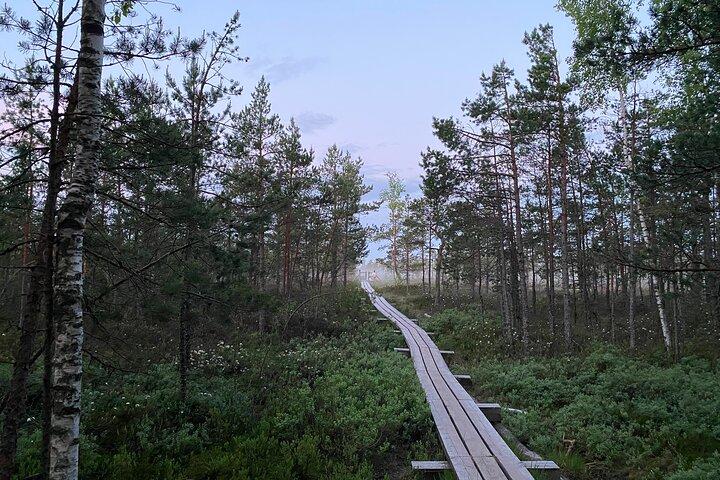 From Riga: Kemeri Bog Boardwalk and Jurmala Seaside
