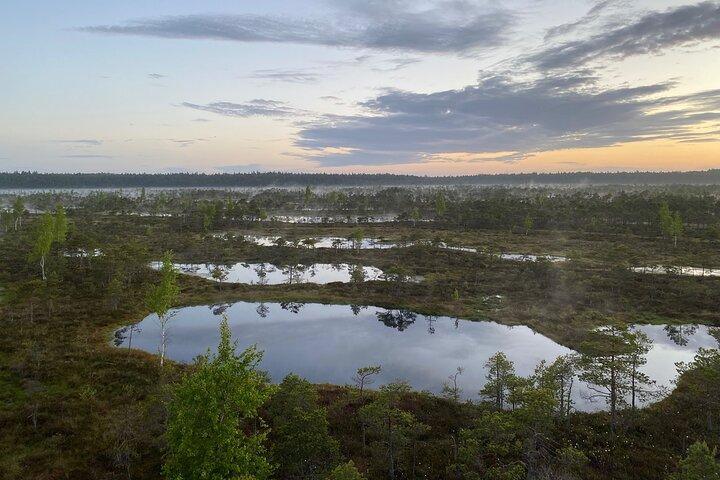 From Riga: Kemeri Bog Boardwalk and Jurmala Seaside