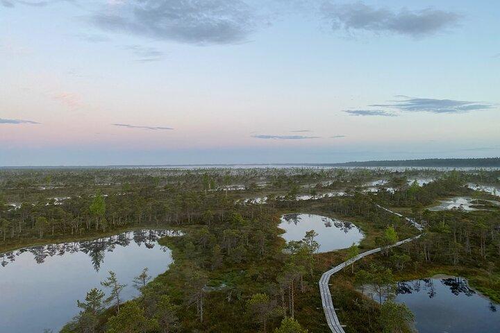 From Riga: Kemeri Bog Boardwalk and Jurmala Seaside