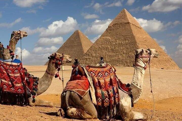 Guided tour to Pyramids of Giza, Sakkara & Memphis: Private Tour with Lunch