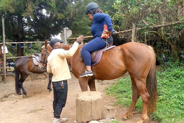 Private Zipline Experience Safari Tour