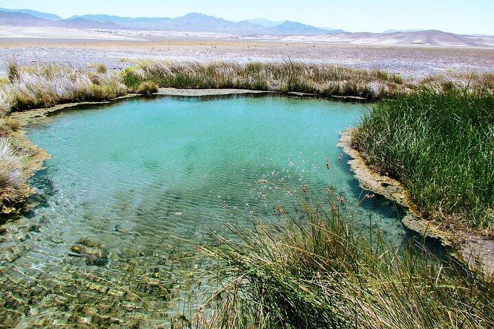 4-Hour Private Hidden Hot Springs Tour near Death Valley