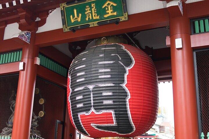 Private Taxi Tour in Tokyo with Government Licensed Guide