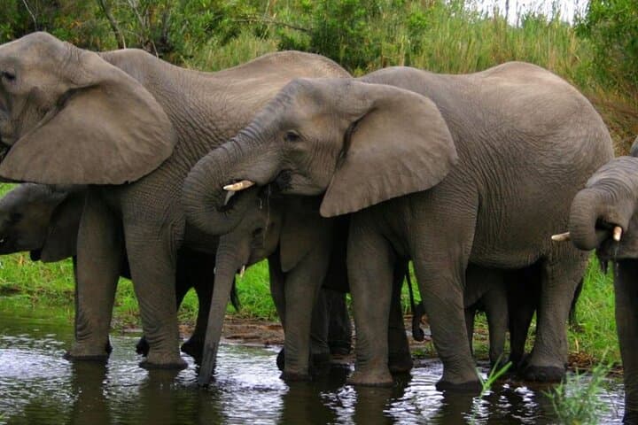 Garden Route Private 3 Day Tour from Cape Town Safari and Hiking