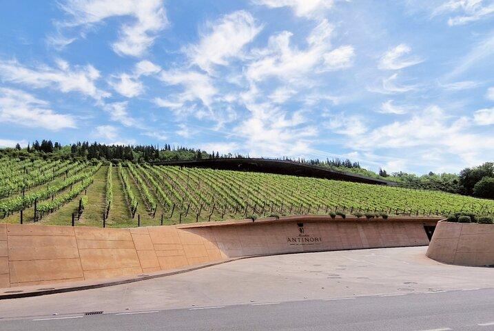 PRIVATE WINE TOUR TUSCANY Chianti Wineries, Expert English driver