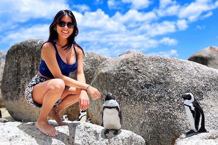 #1 Boulders Penguins & Cape Point Full Day Tour From Cape Town