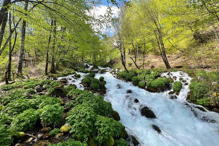 Durmitor Tour: Black Lake, Tara River Canyon from Podgorica city