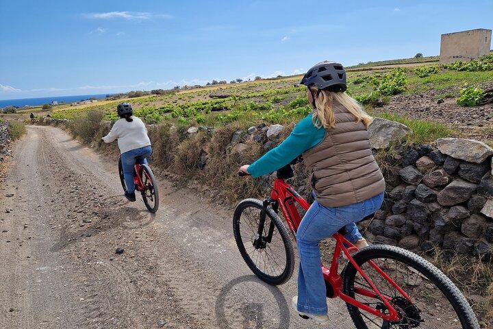 Santorini Small Group Guided E-bike Tour & Local Tomato Museum