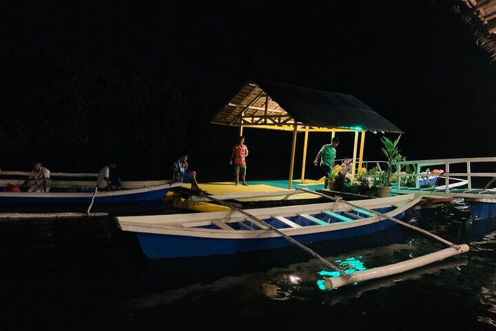 Puerto Princesa Jungle River Firefly Watching