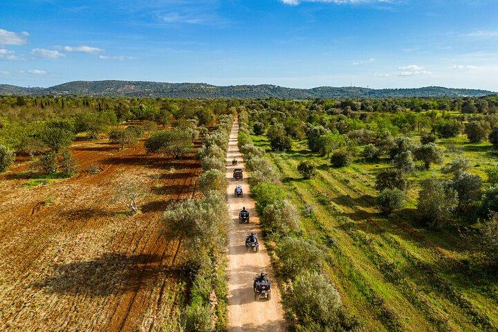 Albufeira: 3-Hour Off-Road Quad Tour to Hidden Algarve Trails