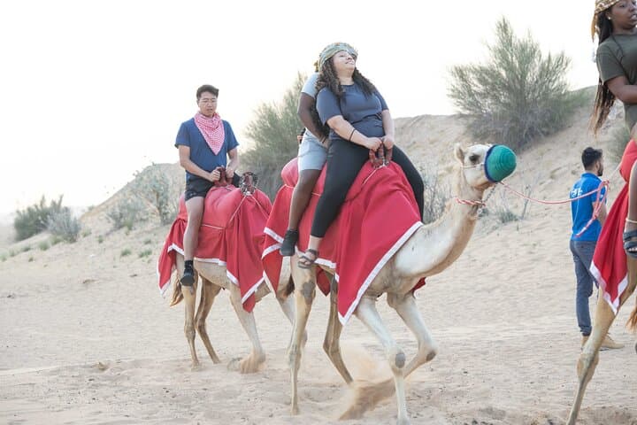 Dubai Half-day Red Dunes bashing with Sandboarding, Camel &Falcon