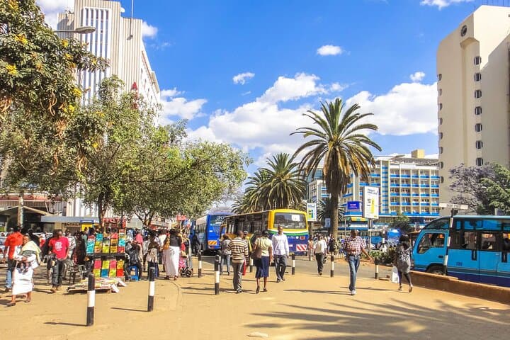 Nairobi City Sightseeing Guided Tour with Lunch at Carnivore