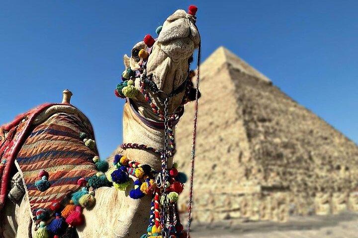 Pyramids tour and The Egyptian Museum