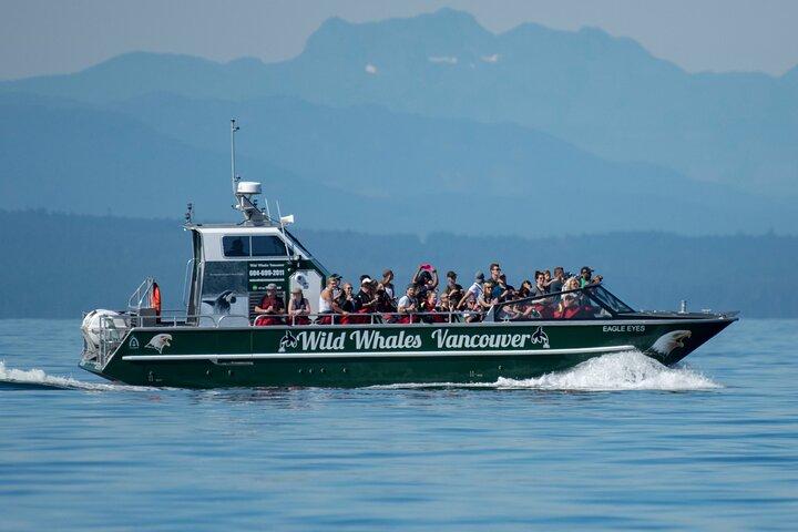 Wild Whale Watching Experience - Open Air Vessel