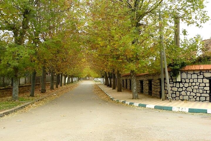 Day Tour From Fes to Middle Atlas (Imouzzer, Ifrane, and Azrou)